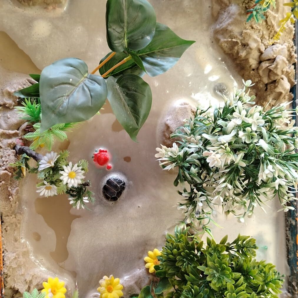 tree-in-sandplay-